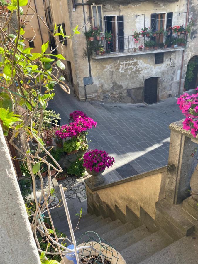 La Torretta Bed and Breakfast Orte Exteriör bild